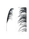 Plantă Uscată Pampas Grass Black Marhome