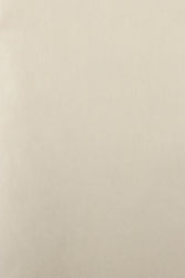 PaperQ Läufer Ecru 50x120cm. 200Stück 10-12003 PaperQ Läufer Ecru 50x120cm. 200Stück 10-12003