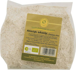 Пълнозърнесто пшенично брашно Threpsis 500g 2-51330