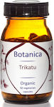 Botanica Bohemia 500mg 60 capace