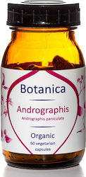 Botanica Bohemia Organic Andrographis 500mg 60 κάψουλες Botanica Bohemia Organic Andrographis 500mg 60 κάψουλες