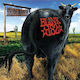 Blink 182 Dude Ranch Hq Download 1 Vinyl