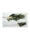 Eucalyptus Branch 90cm