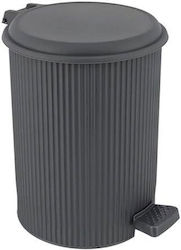 Sidirela Nostalgy Plastic Waste Bin 12lt with P...