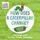 How Does a Caterpillar Change?