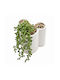 Disney Artificial Plant in Small Pot