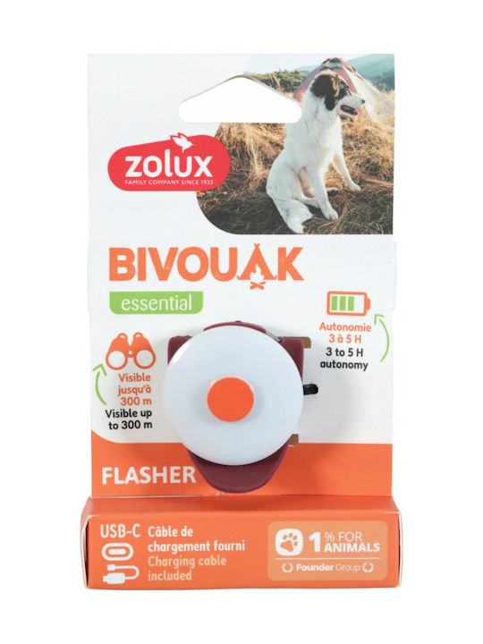 Zolux Dog Collar in Red color