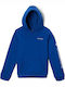 Kids Sweatshirt with Hood and Pockets Blue