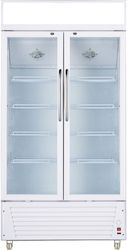 Crown SC650.2 Хладилник за напитки 565лт Двойна врата В199.5xШ100xД61см
