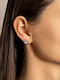 Chrysothemiss Earrings made of Steel Gold Plated with Stones