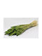 Buchet din Flori Artificiale Green 70cm Paper Pack