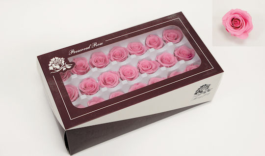 Paper Pack Floare decorativă pentru proiecte DIY Pink 21buc