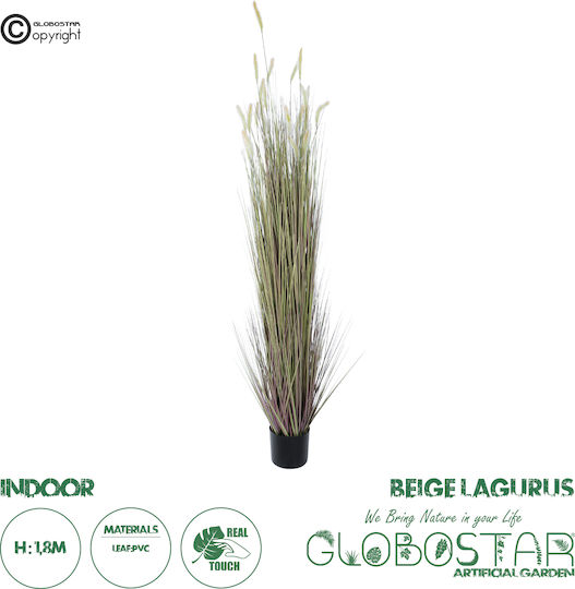 Globostar Artificial Garden Beige Lagurus 21104 Διακοσμητικό Φυτό Μπεζ Λαγοουρά Υ180cm