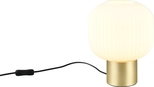 Trio Lighting Διακοσμητικό Φωτιστικό E27 20x26εκ.