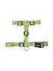 Dashi Hundegeschirr Avocado Back Harness Mittel