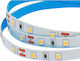 Wellmax LED-Streifen 24V 5m Typ SMD2835