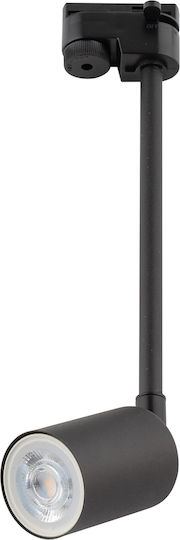 TK Lighting Einzel Spot mit Fassung GU10 in Schwarz Farbe