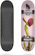 Flip Complete Shortboard Καφέ