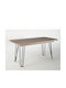 Dias Oval Esstisch Erweiterbar Holz Mit Metallrahmen Aschgrau 160(+40)×90×72cm