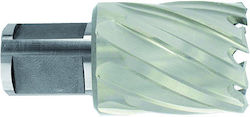 HSS Kernbohrer Ø25x60x30 mm Kurzserie Weldonschaft Ø19 mm Blank Unbeschichtet HSS Kernbohrer Ø25x60x30 mm Kurzserie Weldonschaft Ø19 mm Blank Unbeschichtet
