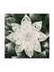 Hängendes Ornament Blume Kunststoff Weiß mit Glitzer 14x14cm Set 10Stück