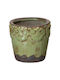 BigBuy Flower Pot 11.5x11cm Pistachio