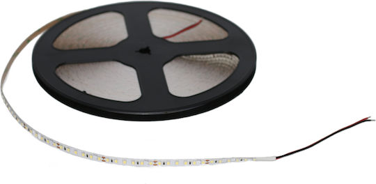 Adeleq Ταινία LED 24V 30m Τύπου SMD2835