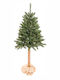 Christmas Tree 160cm in Pot