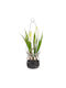 BigBuy Decorative Artificial Flower White 21cm