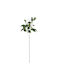 BigBuy Artificial Decorative Branch Green 59cm