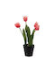 BigBuy Decorative Artificial Plant Black 31cm