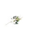 White Poinsettia Branch H58cm