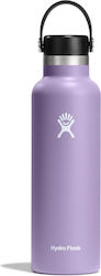 Hydro Flask Standard Mouth Thermos Bottle Stain...