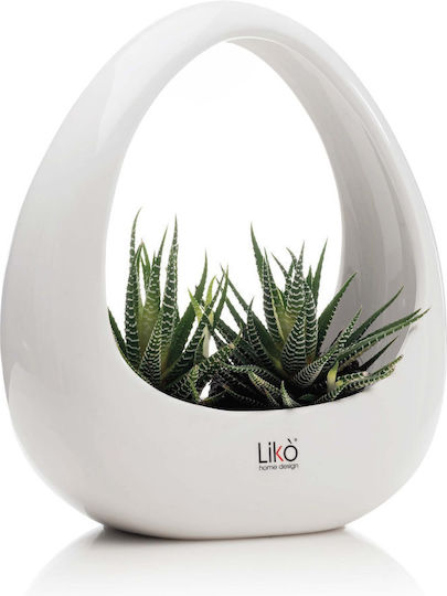 Fankon Flowers Ghiveci Ceramică Alb