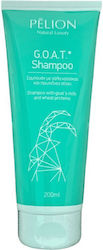 P For Pelion Hydration Shampoo 200ml