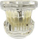 Dental Demonstration Model Ubx Mobilizable Teeth Implants Restorations Dental Pathologi