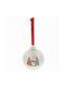 Hanging Ball Ornament Ornament