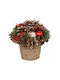 Christmas Decorative Branch 19cm