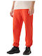 Sweatpants with Elastic Red