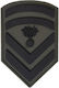 All About Army Σήμα Σωμάτων Ασφαλείας Υπαξιωματικών Αποφοίτων ΣΜΥ Στολής Παραλλαγής 010587