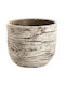Fankon Flowers Übertopf Beton Beige 20x20x18εκ.