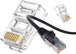 Plug RJ-45 male 100pcs