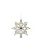 Hängendes Ornament Stern Gold 7x8cm