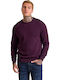 Langarm-Pullover Purple