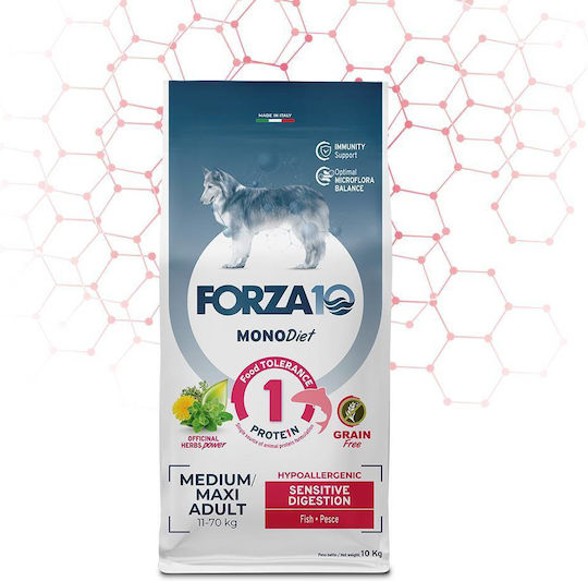 Forza10 10kg Trockenfutter für Hunde Diät mit Fisch