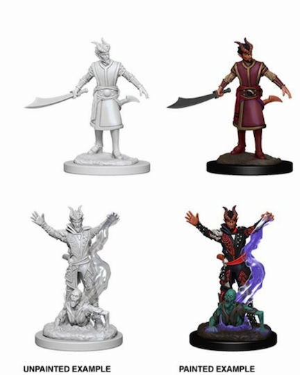 D&d Nolzur's Marvelous Miniatures Male Tiefling Warlock