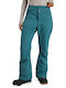 Roxy Snow Diversion ERJTP03276-BPF0 Women's Trousers for Ski & Snowboard Green