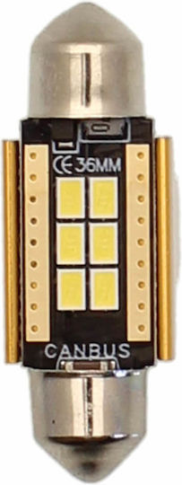 Λάμπα Αυτοκινήτου Λαμπτήρας C5W Canbus LED Ψυχρό Λευκό 2W