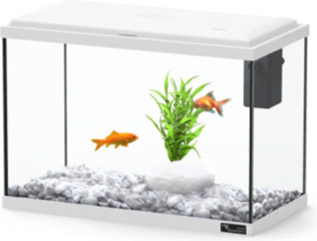 Aquatlantis London Aquarien mit 13l Kapazität mit Beleuchtung und Filter 35x18x26.5cm Weiß