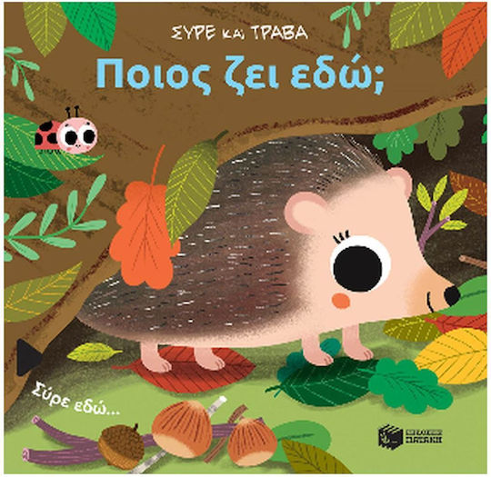 Ποιος Ζει Εδώ; (σειρά: Σύρε Και Τράβα)